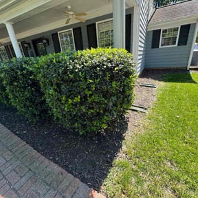 Mulching by Coqui Cleaning & Lawn Maintenance LLC reviewed on August 15, 2025