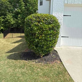 Bush Trimming by Ball Lawncare LLC reviewed on May 8, 2026
