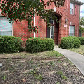 Bush Trimming by J&S Outdoor Maintenance LLC reviewed on August 19, 2025