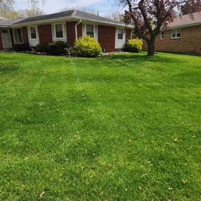 grass maintenance by Cody Jenkins Landscaping reviewed on August 15, 2025