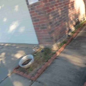 Flower Bed Weeding by JIC Lawn Care Inc. reviewed on November 27, 2025