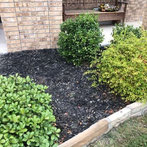 Flower Bed Weeding by Gulf Coast MultiServices LLC reviewed on August 15, 2025