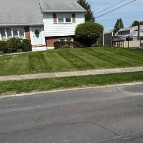 landscaping services by 242 Lawn Care reviewed on August 18, 2025