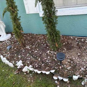 Flower Bed Weeding by DMH Properties LLC reviewed on June 8, 2026