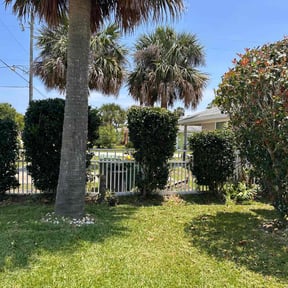 Bush Trimming by Basic lawn care reviewed on August 15, 2025