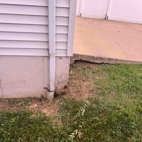 Bush Trimming by Good & Green Grounds Maintenance LLC reviewed on August 16, 2025