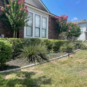 Bush Trimming by L & J Landscaping reviewed on August 16, 2025