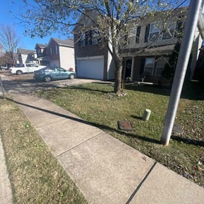 Leaf Removal by Caesar’s Premier Landscaping reviewed on October 24, 2025