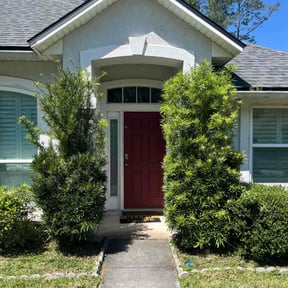 Bush Trimming by Gods Property Lawn &amp; landscaping  reviewed on December 17, 2025