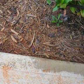 Flower Bed Weeding by King&#039;s lawn care services reviewed on November 4, 2025