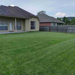 yard maintenance by Paul Landis Dba Pro Turf Landscape and Lawn care reviewed on November 23, 2025