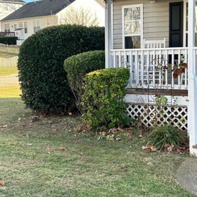 Bush Trimming by Auld lawn care reviewed on August 14, 2025