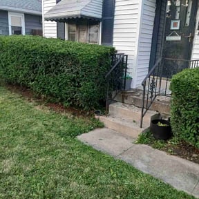 Bush Trimming by Ortega lawn services LL reviewed on August 16, 2025