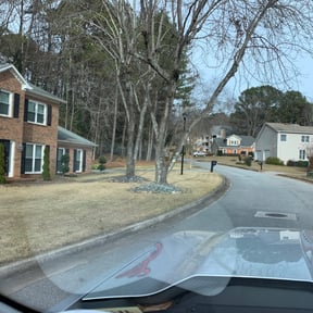 Leaf Removal by Landscape &amp; Mowing reviewed on September 24, 2025