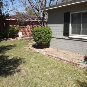 Bush Trimming by AnnaMaries Home and Lawn Care Services reviewed on August 19, 2025