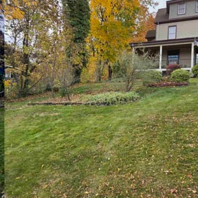 Leaf Removal by Strategically Designed Property Solutions reviewed on December 15, 2025