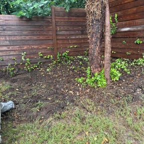 Leaf Removal by Back To Our Roots reviewed on September 11, 2025