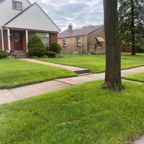 yard maintenance by Vandon Johnson Landscaping reviewed on August 20, 2025