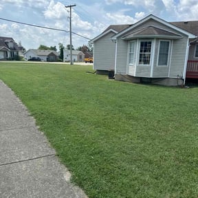 lawn maintenance by Procare Lawns reviewed on July 8, 2023
