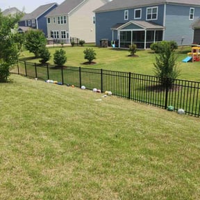 yard work by Patriot Landscaping & Design LLC reviewed on August 18, 2025