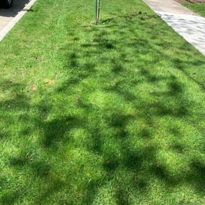 residential landscaping by Alternative Lawn Care reviewed on August 15, 2025