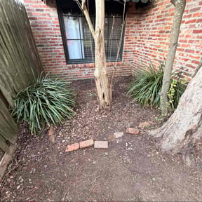 Leaf Removal by Top Dawg Lawn reviewed on July 30, 2026