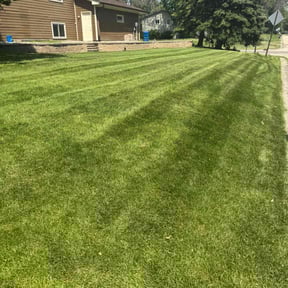 yard maintenance by Hooper House LLC reviewed on November 20, 2025