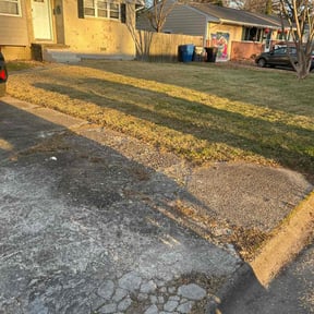 Leaf Removal by Rockmon landscape care reviewed on April 18, 2026