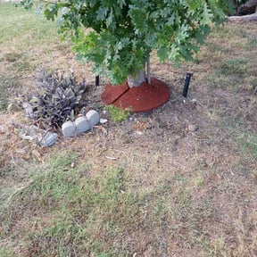 Flower Bed Weeding by Caesar’s Premier Landscaping reviewed on October 19, 2025