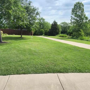 lawn care by Chuyin&#039;s Lawn Care LLC reviewed on September 7, 2024