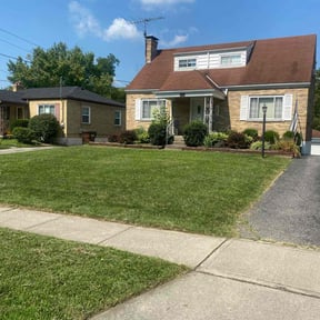 turf care by Trip reviewed on March 21, 2024