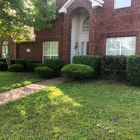 Bush Trimming by Trash Cupid Rental reviewed on August 21, 2025
