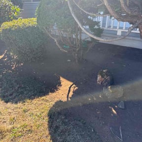 Flower Bed Weeding by Marroquín Landscaping LLC reviewed on November 7, 2025