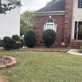 Bush Trimming by Student Loan Payment Lawn Care reviewed on November 18, 2025