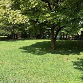 landscape maintenance by Mow & Go reviewed on August 19, 2025