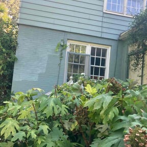 Bush Trimming by Just Girlz CutN reviewed on August 11, 2025