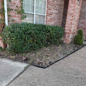 Bush Trimming by Better Lawn Care reviewed on November 19, 2025