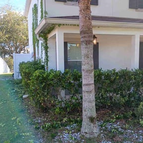 Bush Trimming by Mightyfine professional  services reviewed on November 24, 2025