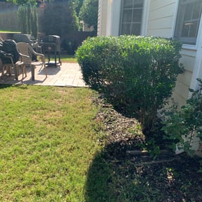 Bush Trimming by Copperfield Lawn reviewed on August 18, 2025