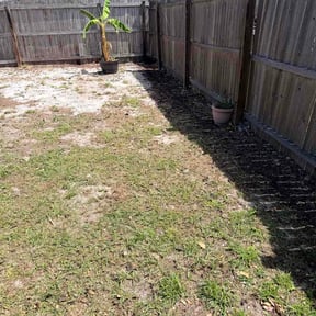 Leaf Removal by The Trusted Edge reviewed on April 12, 2026