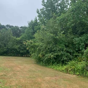 Bush Trimming by Boss Outdoor Service reviewed on July 7, 2026