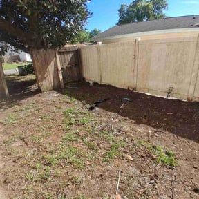 Leaf Removal by Level Up Landscaping LLC reviewed on September 14, 2026