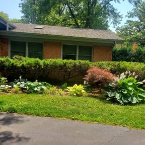 Bush Trimming by Caver Lawn Care reviewed on August 17, 2025