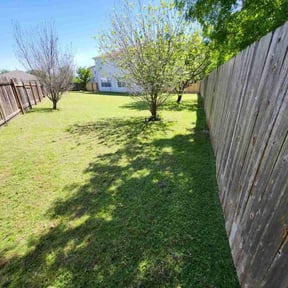 yard maintenance by Like A Bawse Llc reviewed on November 18, 2025