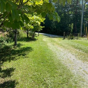 turf maintenance by Lawn care reviewed on August 29, 2024