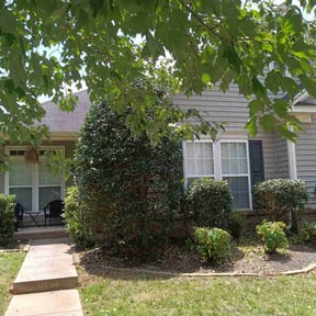 Bush Trimming by Tulsa Lawn Care reviewed on October 24, 2025