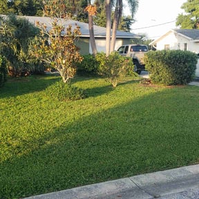 yard care by Mr. Kvr's Lawn Care Services reviewed on May 6, 2024