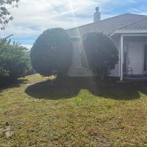 Bush Trimming by 3rd Coast Lawn Services reviewed on November 19, 2025