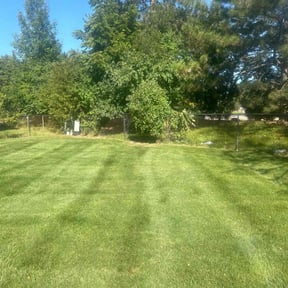 Bush Trimming by Mola Property and Lawn Service reviewed on March 19, 2024
