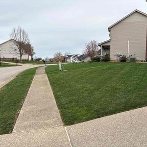 yard care by Mike's Mowing and Landscaping reviewed on November 2, 2023